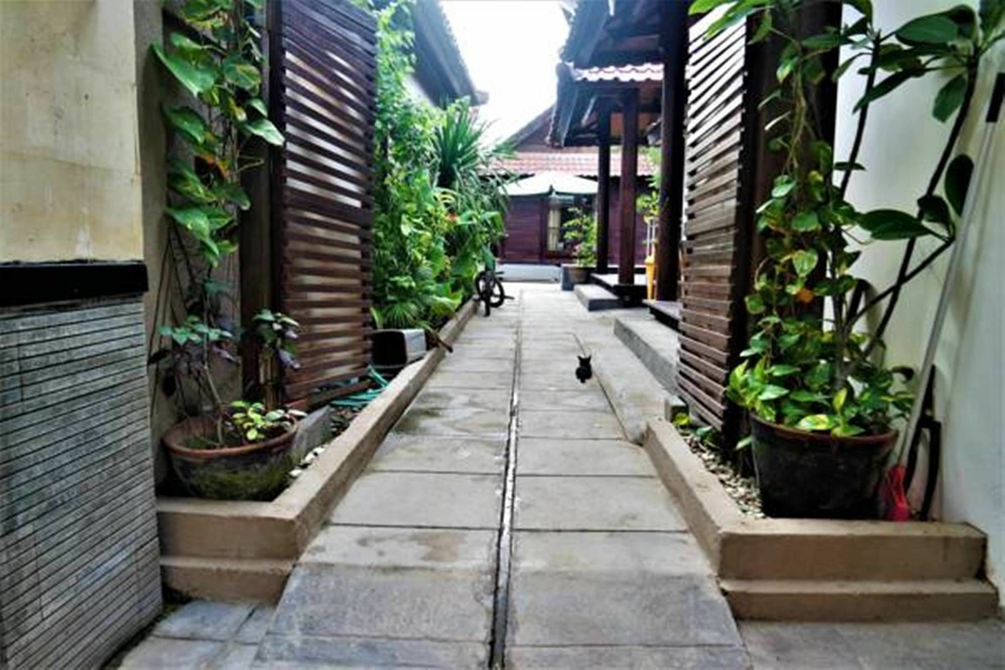 Drupadi Bungalows غيلي تراوانغان المظهر الخارجي الصورة